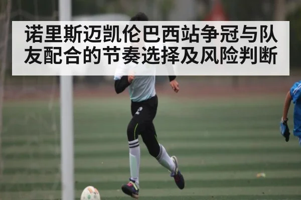 诺里斯迈凯伦巴西站争冠与队友配合的节奏选择及风险判断